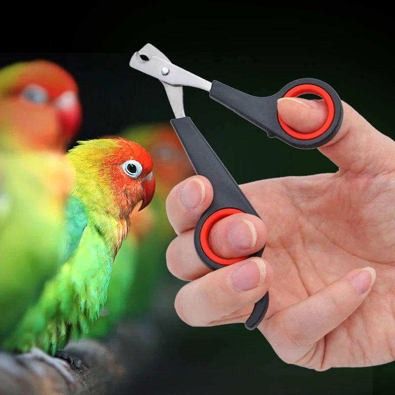 🐾 Beak & Talon Clippers 🐾