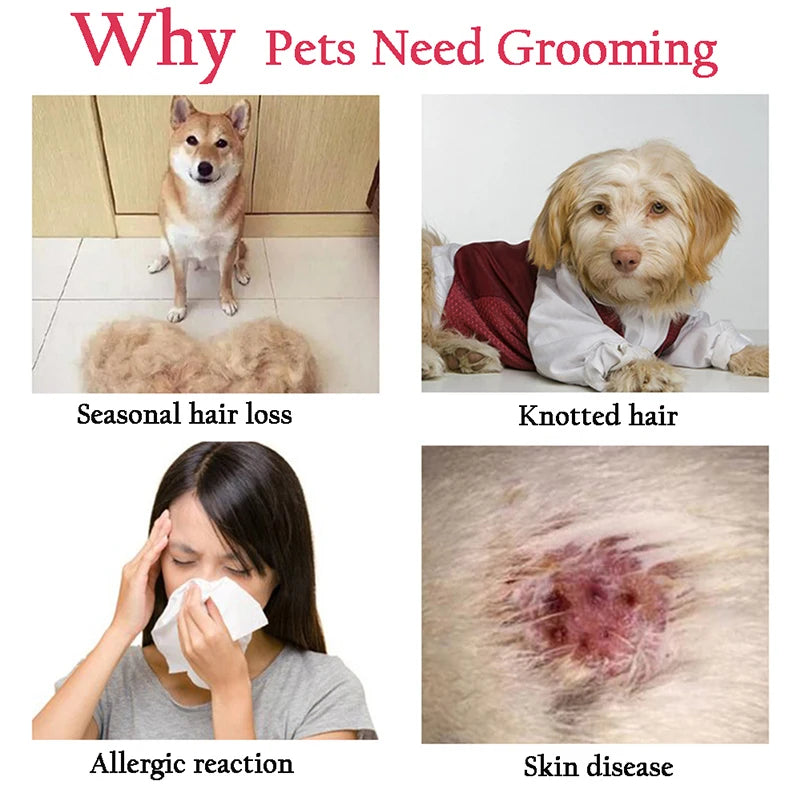 PawPerfect Fur Remover 🐾