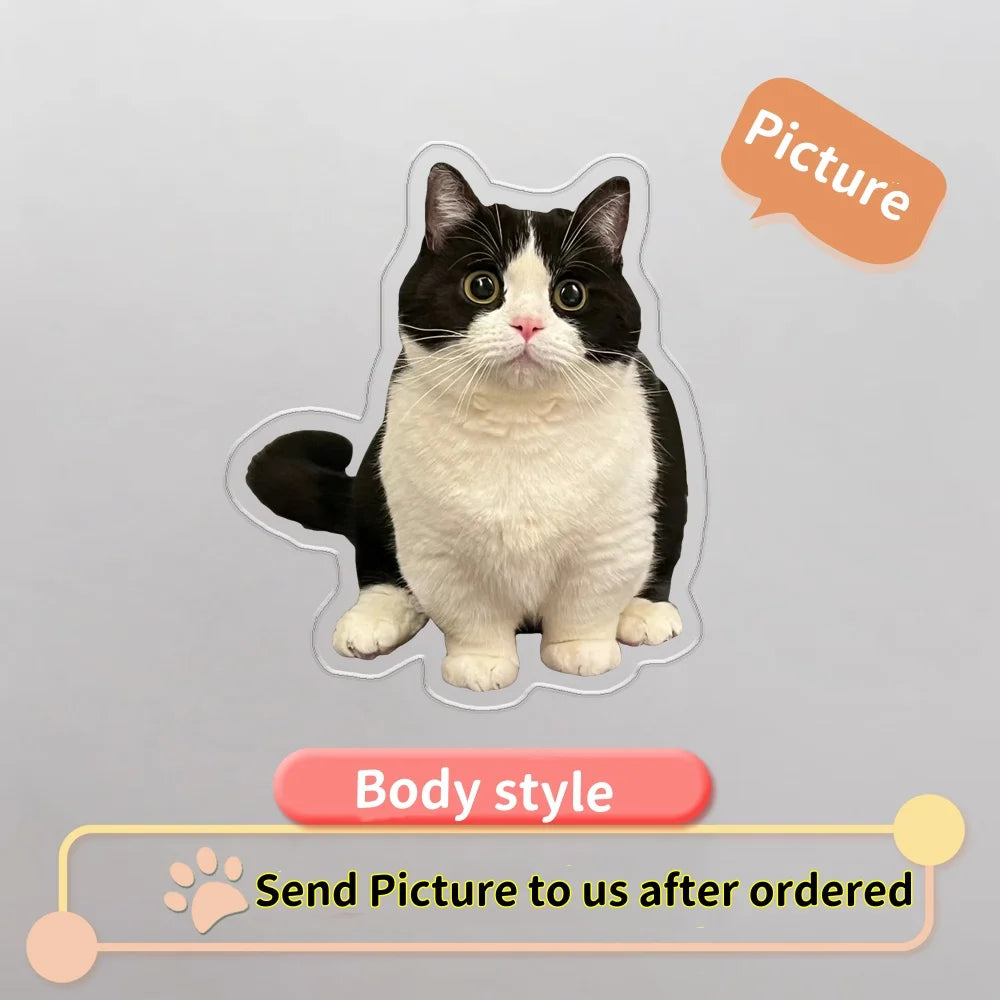 PawPrint Memory Magnet 🐾