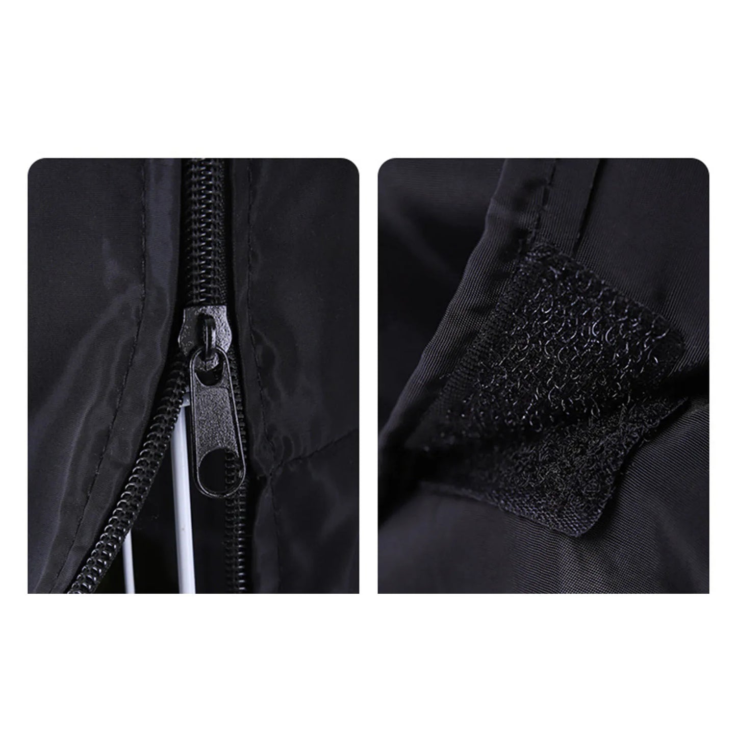 🐾 FeatherGuard 🐾